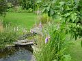 2009-0716-1420_garden_22,7C